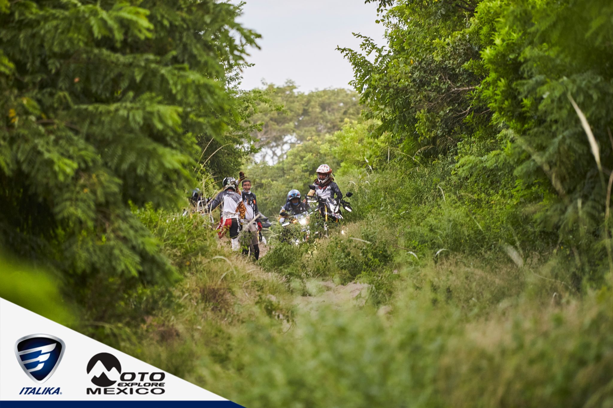 ITALIKA CHACHALACAS D1 388